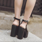 Platform Block High Heels Black Peep Toe Slingbacks - VacationGrabs
